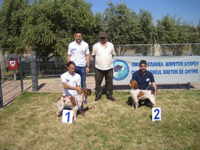 17th National Breed Show